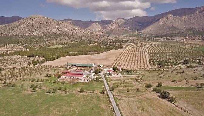 Santiaga Sánchez’s farm outside Chirivel
