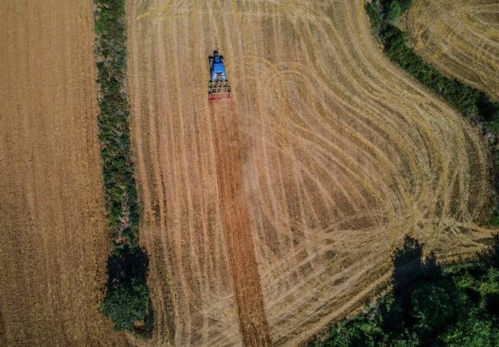 Un tractor ara un campo listo para la siembra de centeno