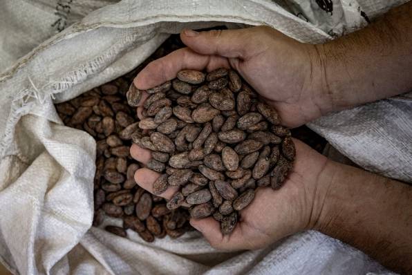 La 'bean to bar', que se hace artesanalmente con cacao de origen seleccionado